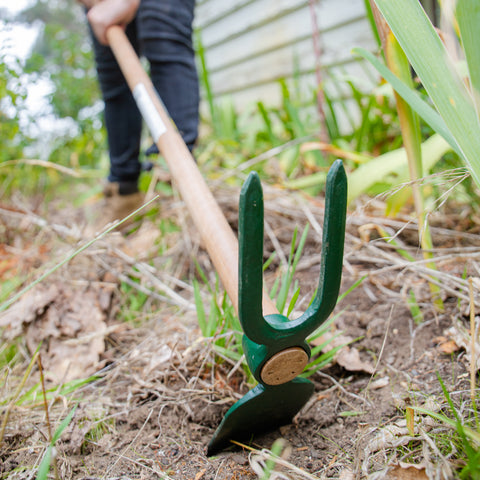 2 Prong Hoe
