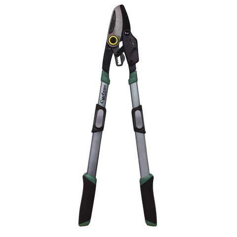 Professional Telescopic Ratchet Bypass Lopper