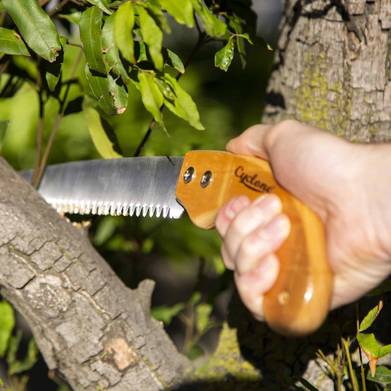 Straight Pruning Saw