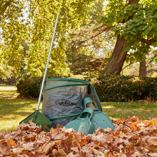 Making the most of your Autumn Leaves
