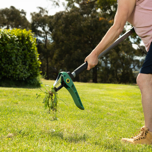 The Right Gift For Dad This Father's Day