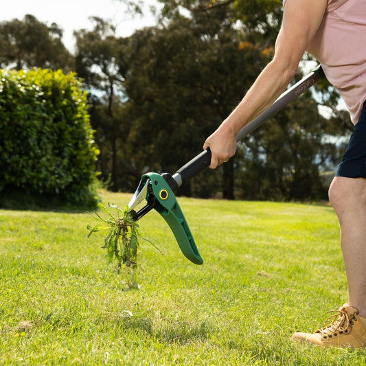 The Right Gift For Dad This Father's Day