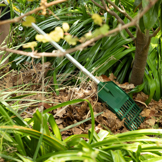 Choose the right rake for the job