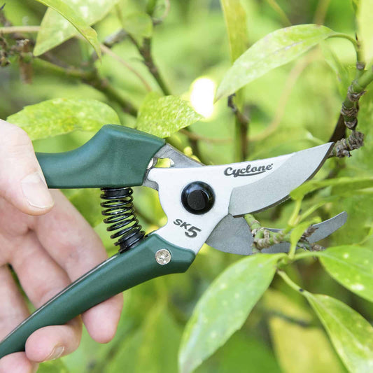 Bypass Pruners: Types, Uses and Why Aussie Gardeners Love Them