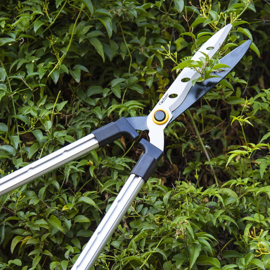 Hedge Pruning Guide: When & How to Prune Hedges in Australia
