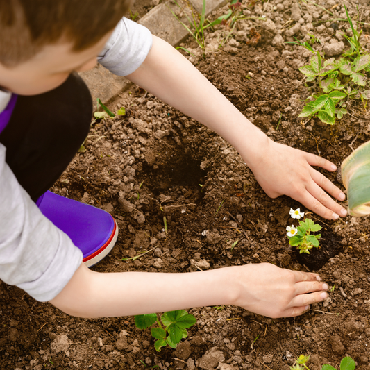 Gardening with Kids: The Blooming Adventure of Spring!
