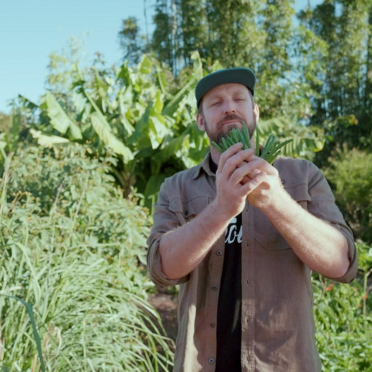 How to Grow Climbing Beans with Paul