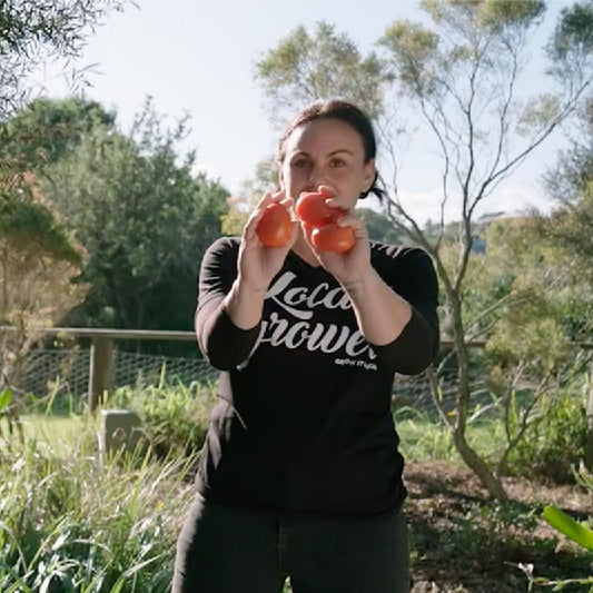 How to grow Roma Tomatoes with Mel
