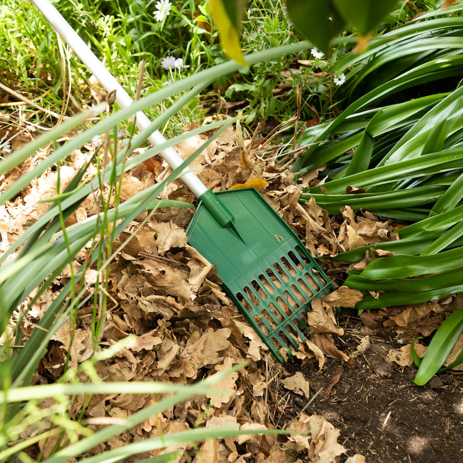 Shrub Rake – Cyclone Tools