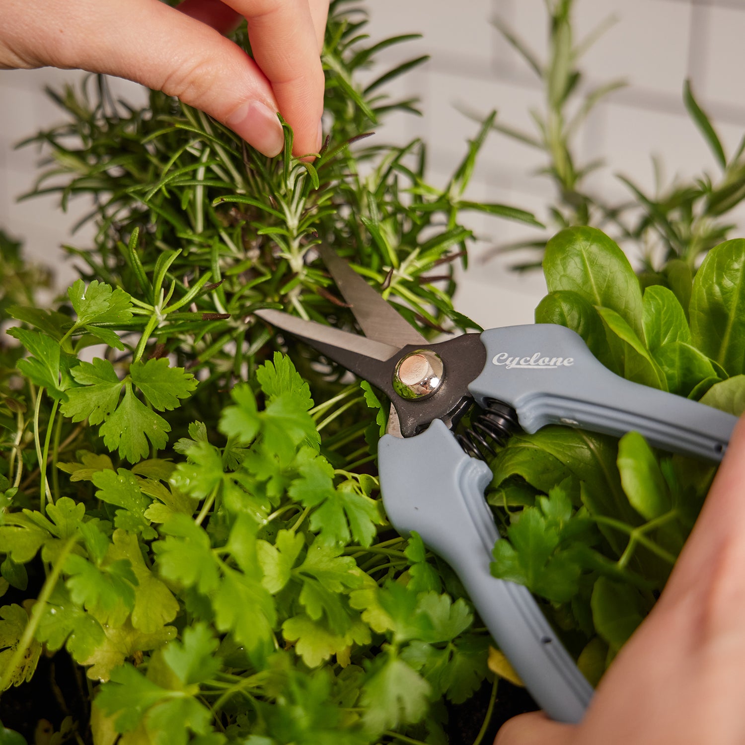 Floral Snips – Cyclone Tools
