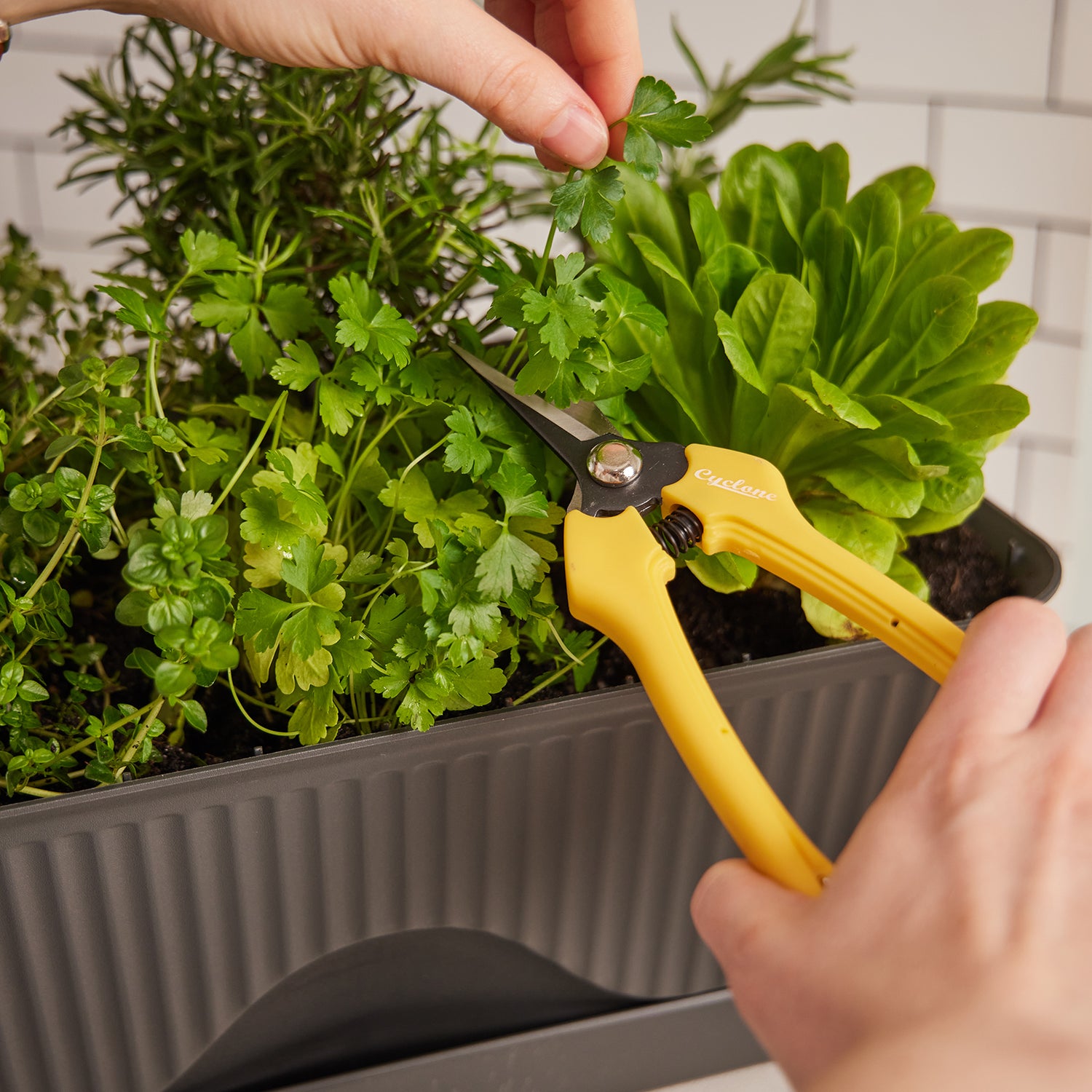 Floral Snips for Precise Stem Cutting - Cyclone Tools
