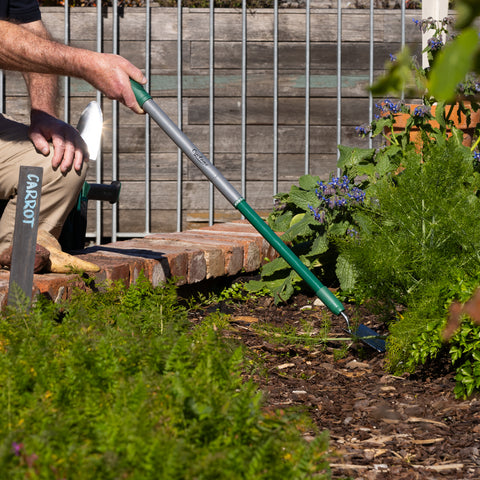 Telescopic Hand Trowel