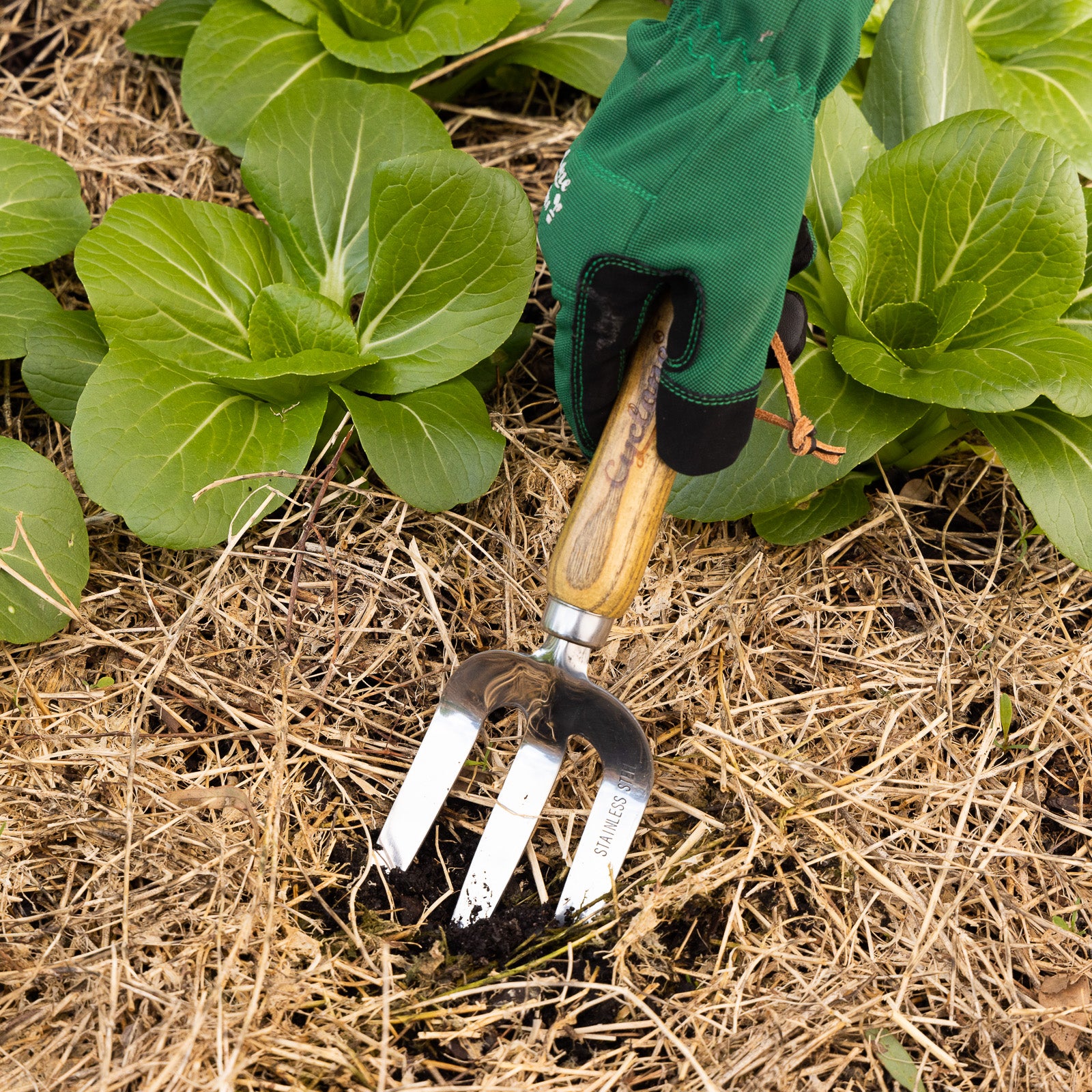 Hand Fork – Cyclone Tools