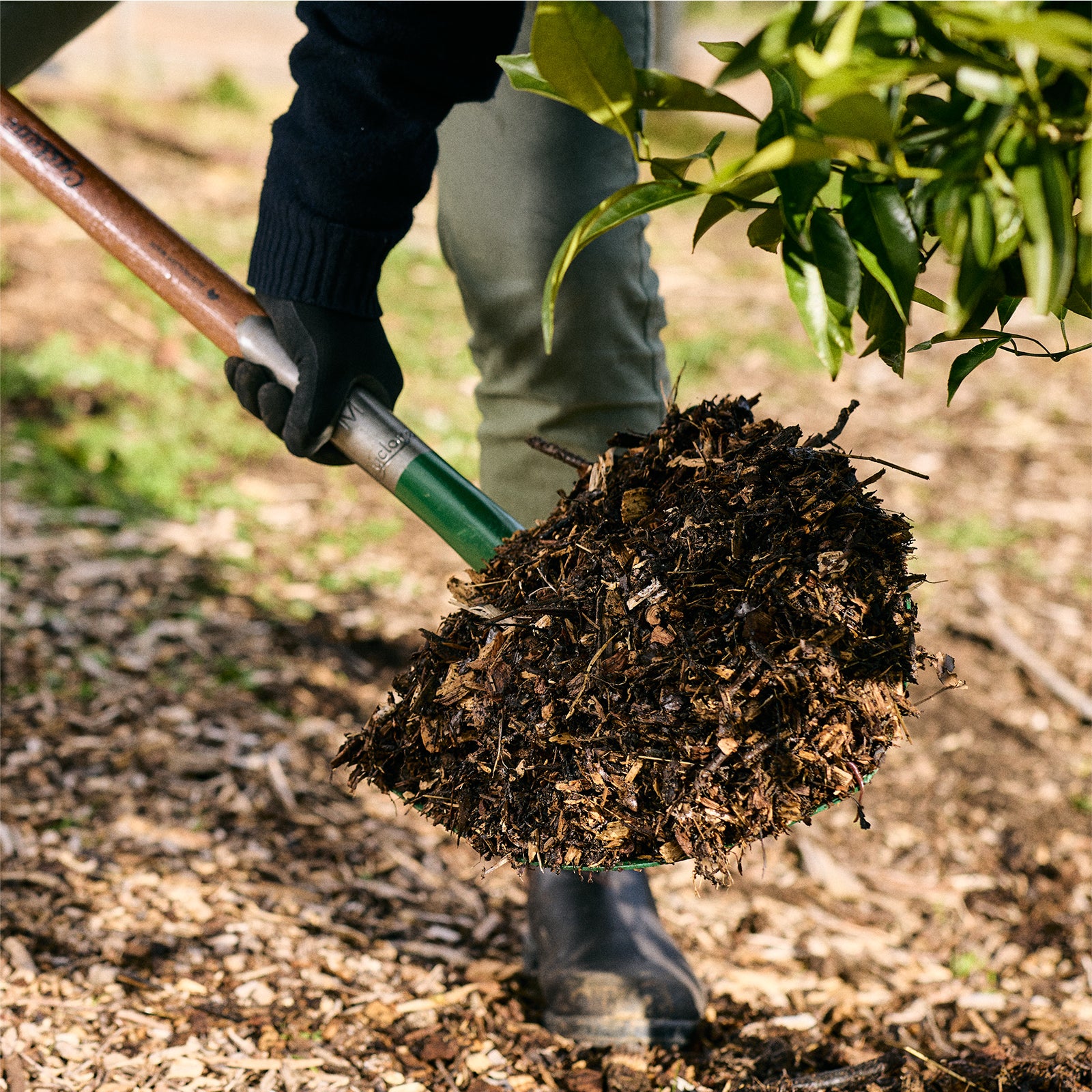 Digging Tools – Cyclone Tools