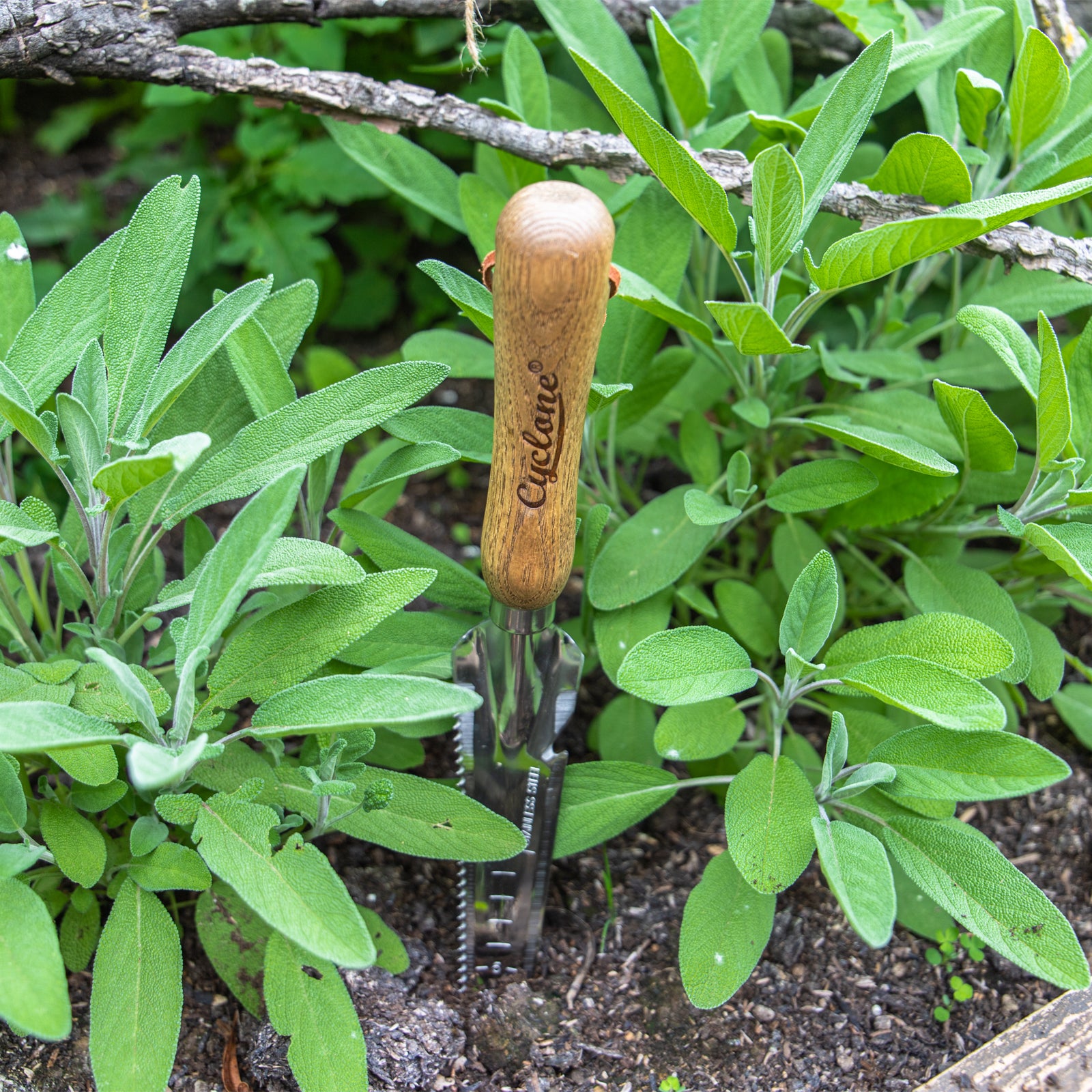 5 In 1 Multitool – Cyclone Tools