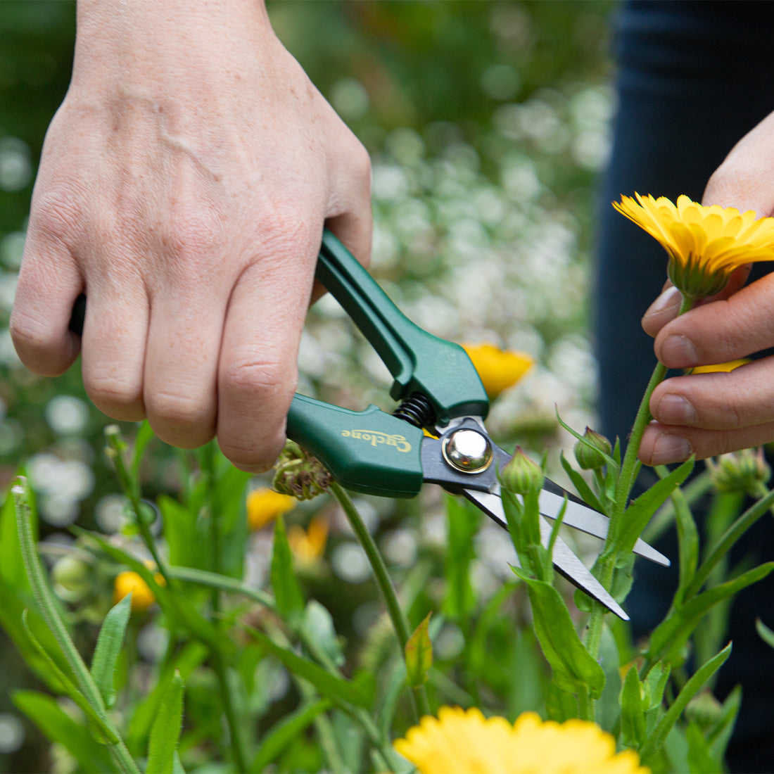 Heavy Duty Bypass Pruner Cyclone Tools
