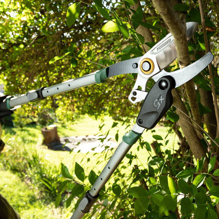 Top 5 Garden Jobs to Prep Your Yard for Spring Bliss