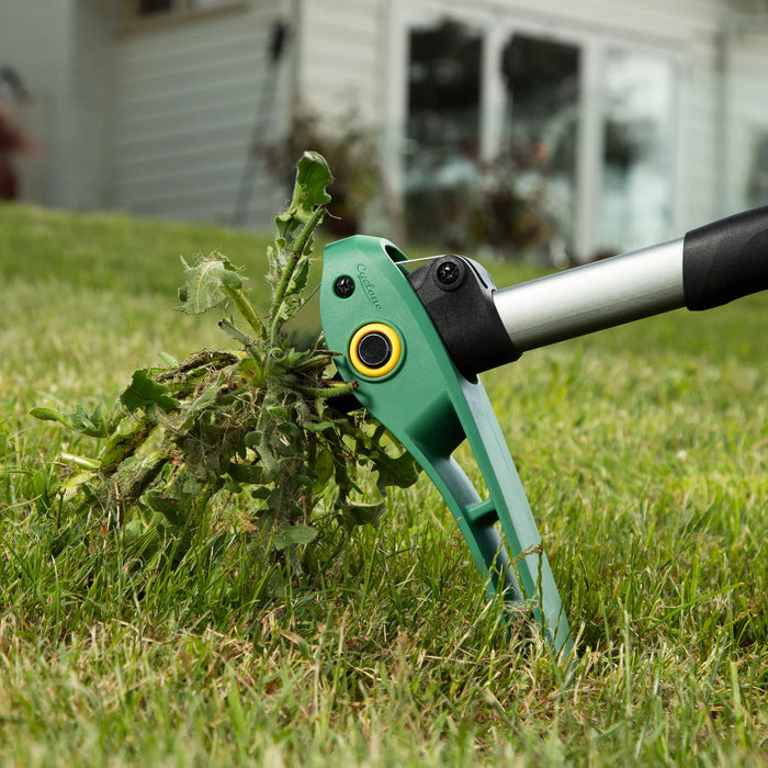 Extract Weeder – Right tool for the the job – Cyclone Tools