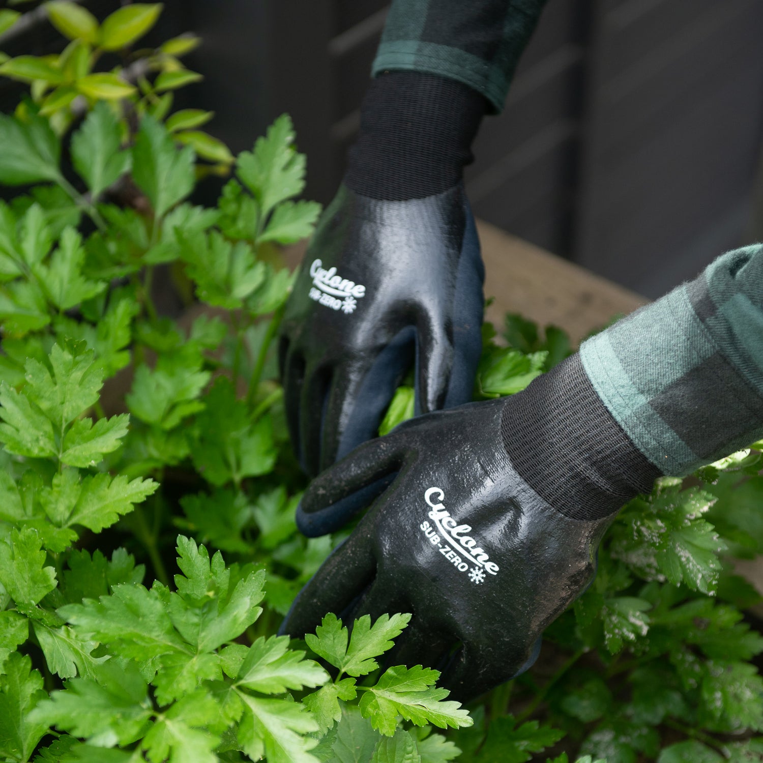 Sub-Zero Garden Gloves