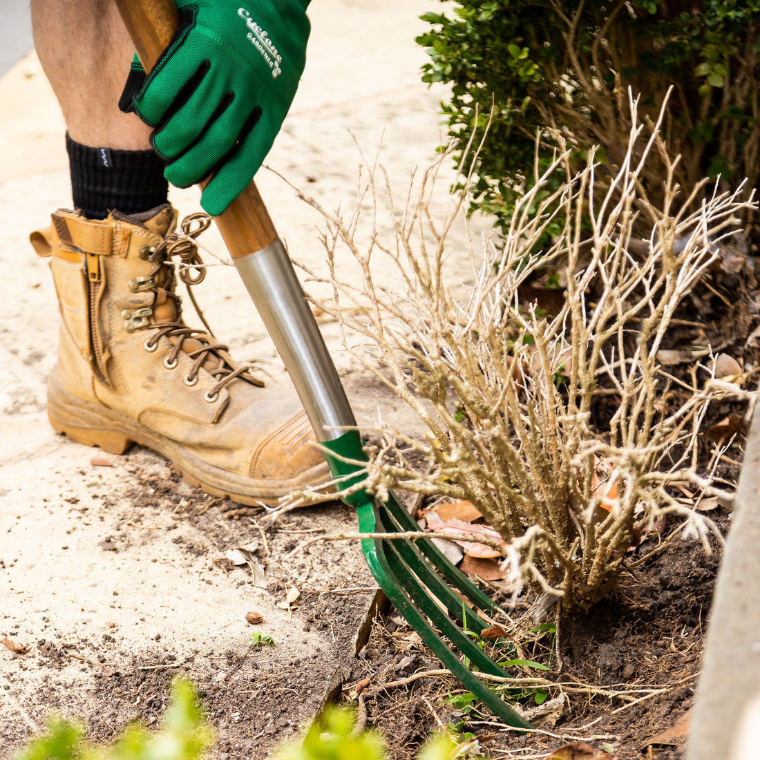 Top 5 Garden Jobs to Prep Your Yard for Spring Bliss