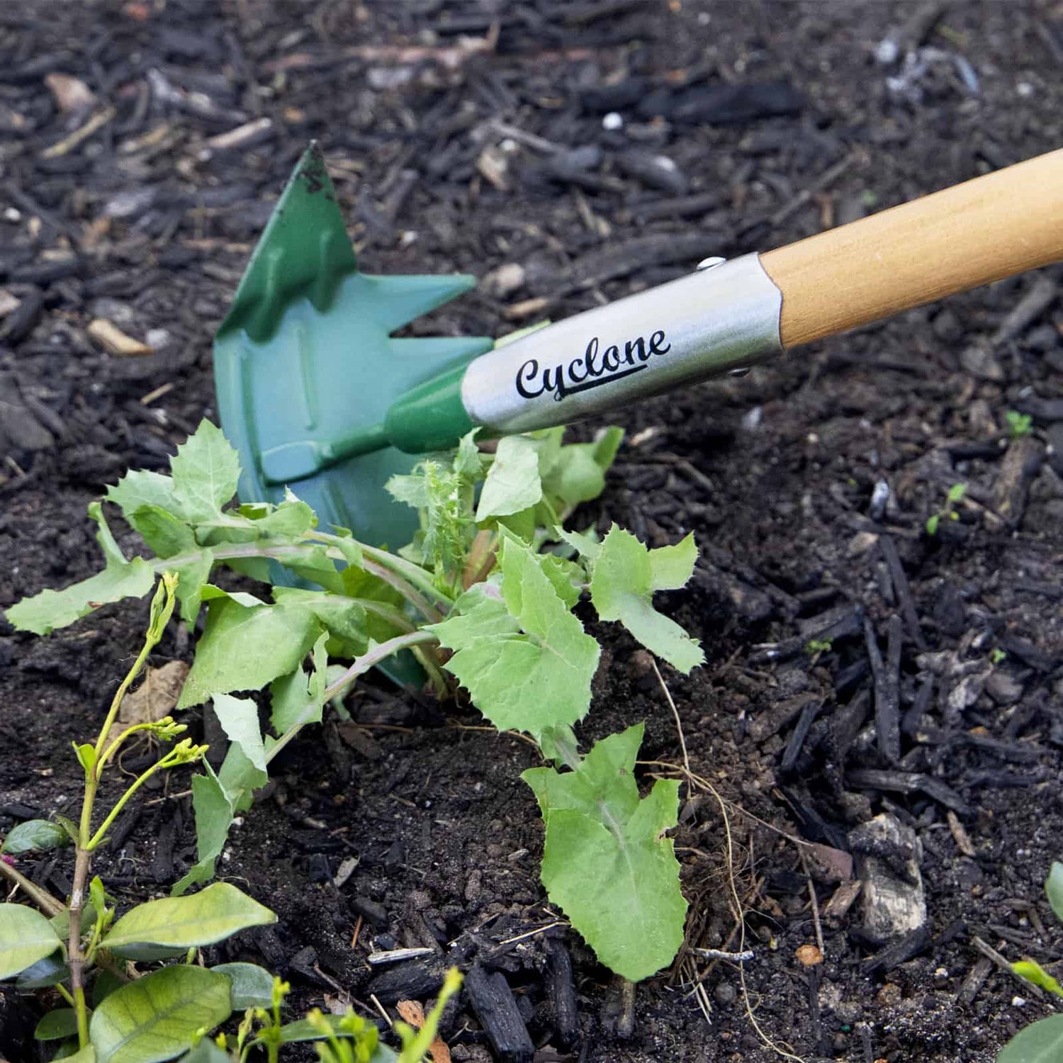 Multiweeder Spring Multi-Surface Weeder – Cyclone Tools