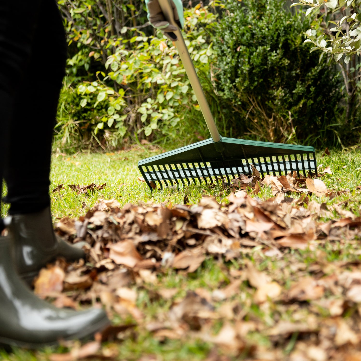 Great Aussie Super Rake – Cyclone Tools