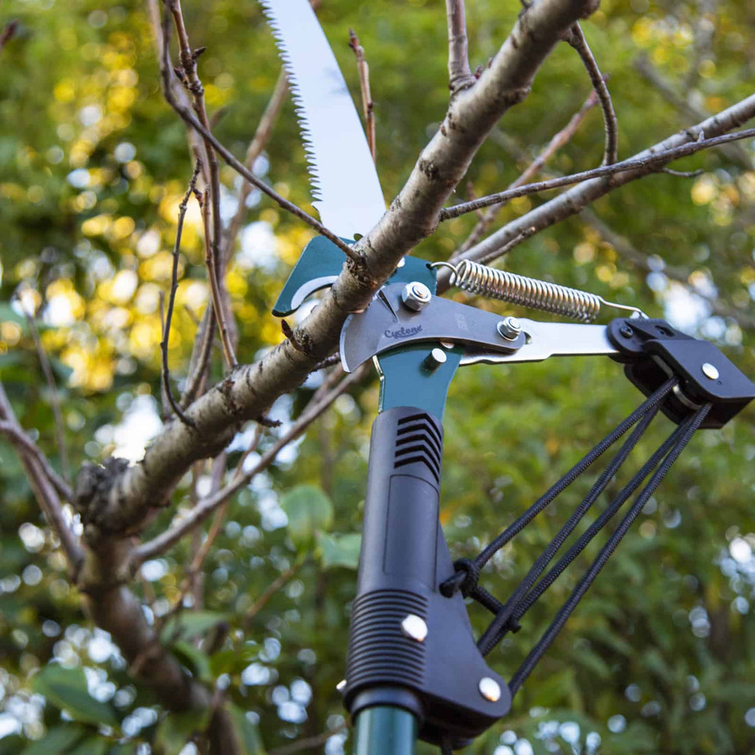 Garden Loppers for Pruning & Branch Cutting - Cyclone Tools