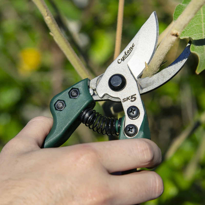 Bypass Pruners: Types, Uses & Why Aussie Gardeners Love Them