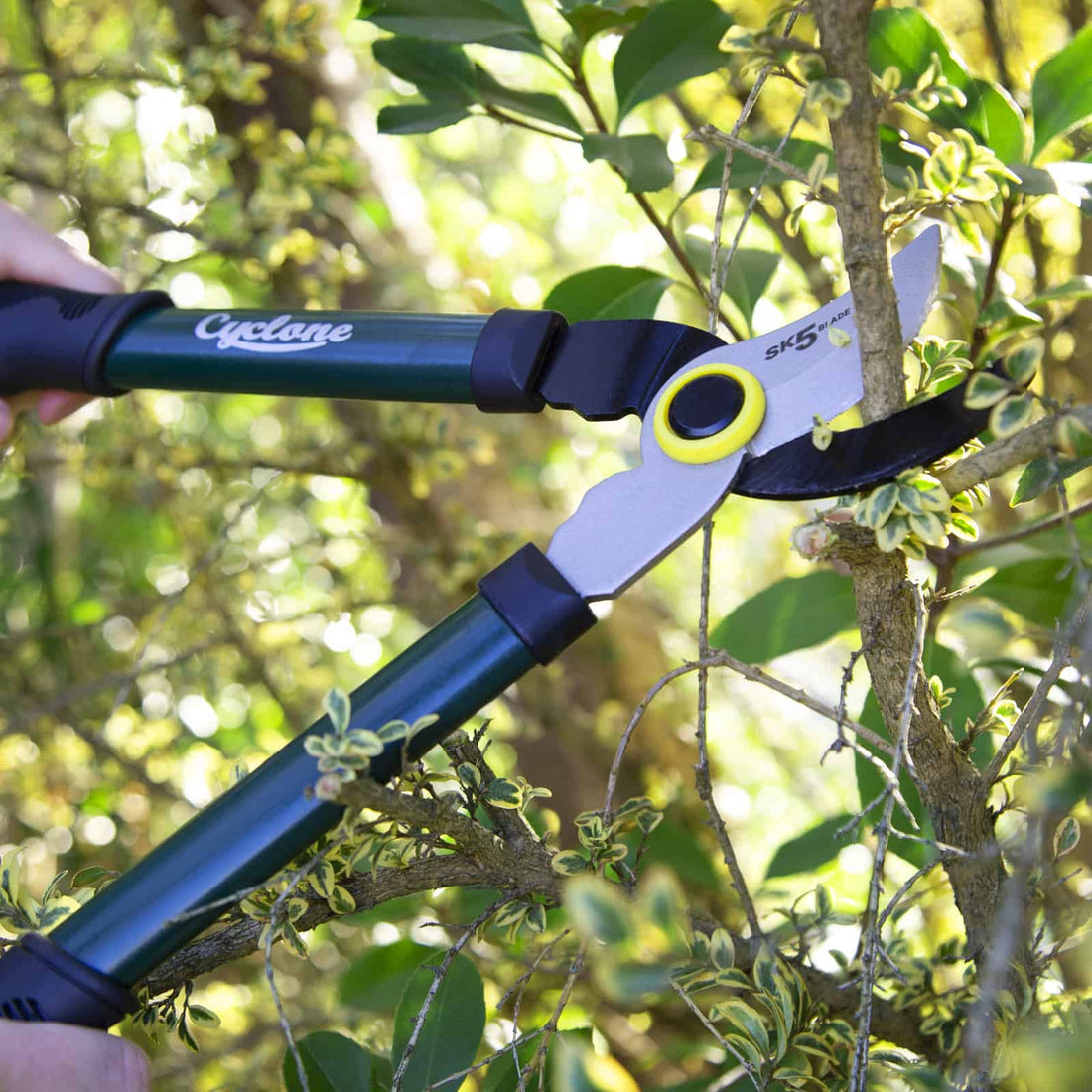 Spring Pull Tree Telescopic Quick-Pull™ Tree Pruner – Cyclone Tools