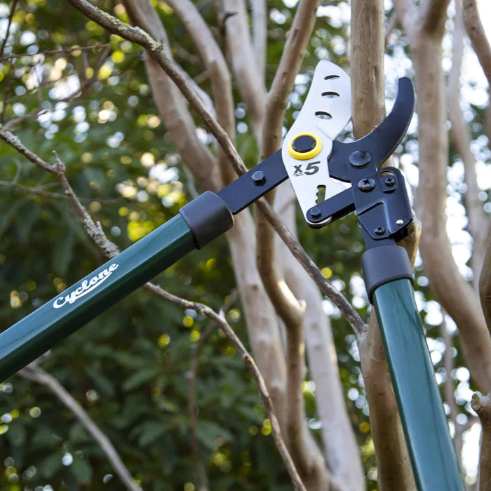 Cyclone Tree Cutter Telescopic Tree Pruner 3.2M – Cyclone Tools
