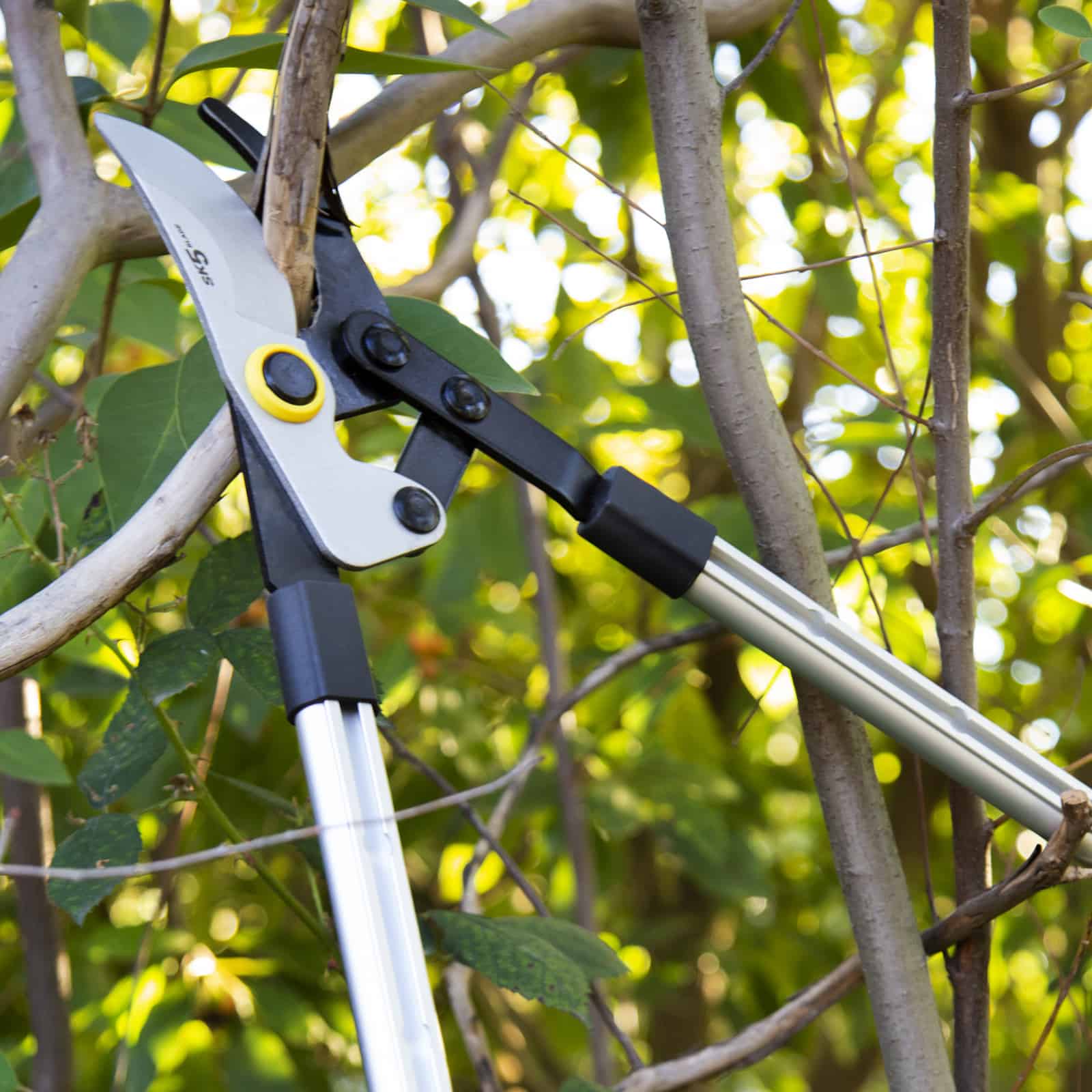 Telescopic Tree Pruner 3.2M – Cyclone Tools