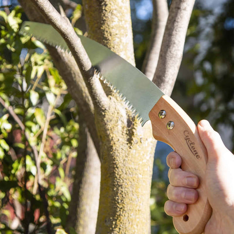 Curved Pruning Saw
