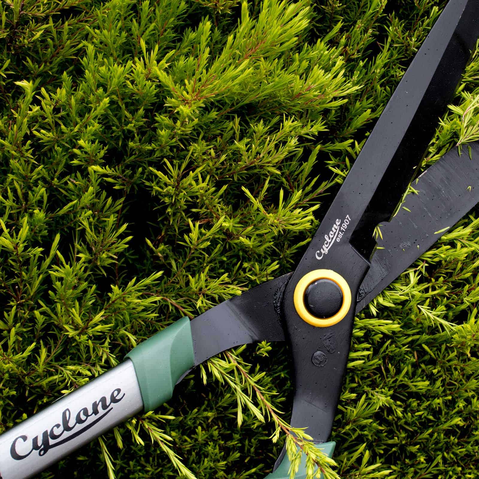 garden scissors bunnings Heavy Duty Telescopic Hedge Shears – Cyclone Tools