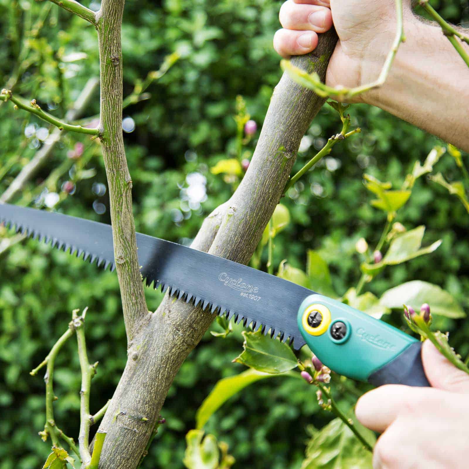 350mm Fixed Pruning Saw – Cyclone Tools